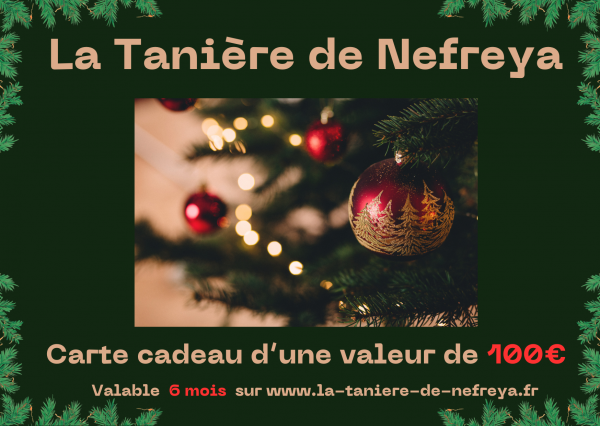 Carte cadeau 100€ Modèle Noël 1