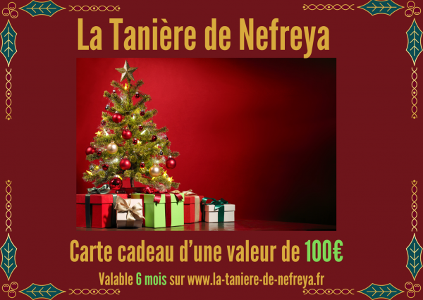 Carte cadeau 100€ Modèle Noël 2